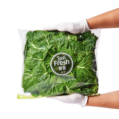 봄동 (500G/봉)