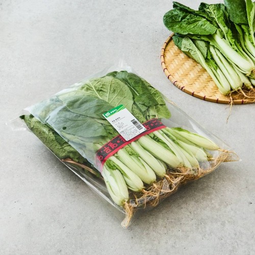 [농할할인가 3,832원] 로컬 얼갈이 (1.1KG/봉)