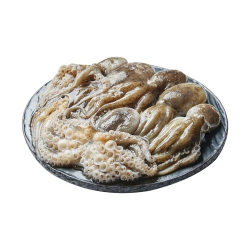 낙지 (생물) (300G)
