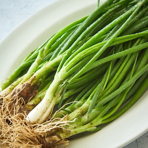 흙쪽파 (300G/봉)