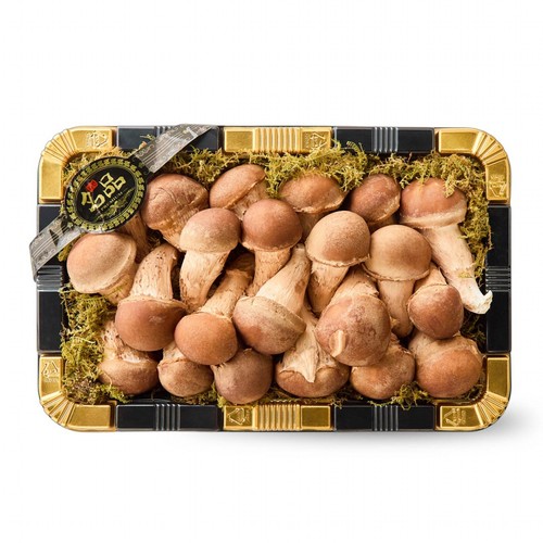 [추석 선물세트 사전예약] 참송이버섯(특) (700G/박스)