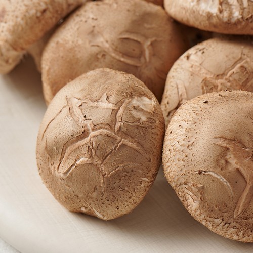 유기농 표고버섯 (200G/팩)