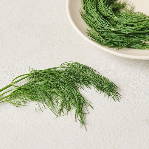 딜 (10G/팩)