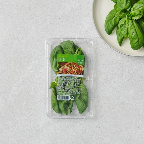 바질 (10G/팩)