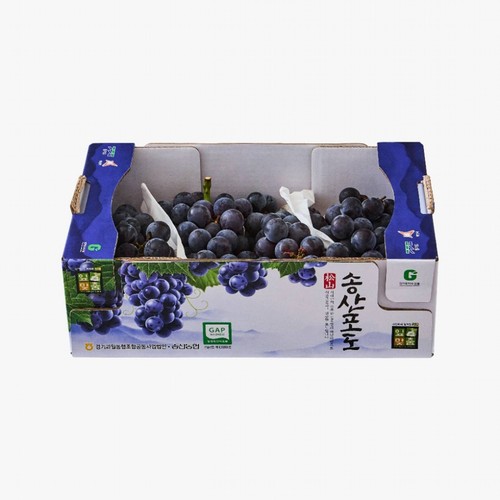 [농할할인가 10,720원] 송산포도 (1.5Kg/박스)