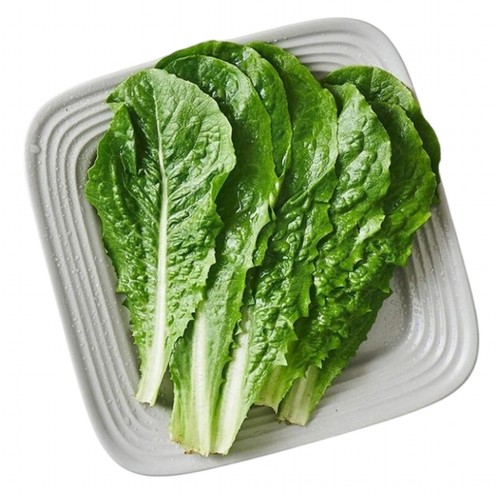 친환경 로메인 (80G/봉)