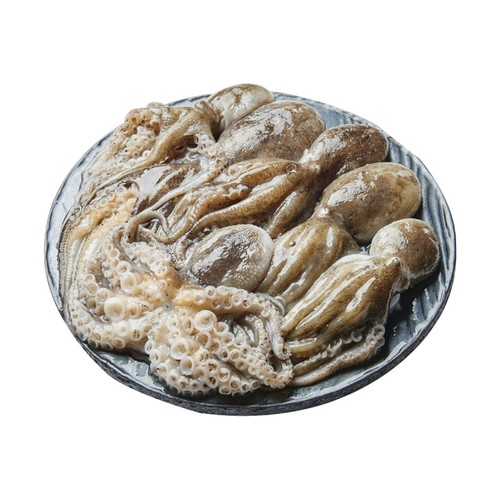 낙지 (생물) (300G)