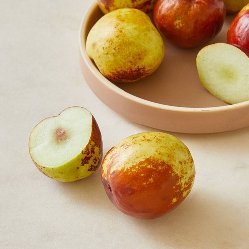 사과대추 (500G/팩)