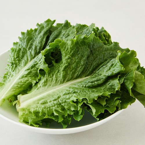 내일농장 청상추 (200G/봉)