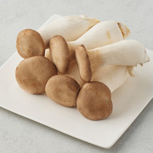 GAP 친환경 뿌리손질 새송이버섯 (300G*2/봉)