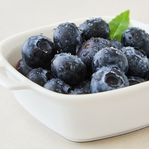 알큰 블루베리 (100G/팩)