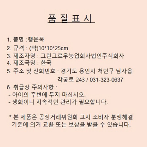 행운목