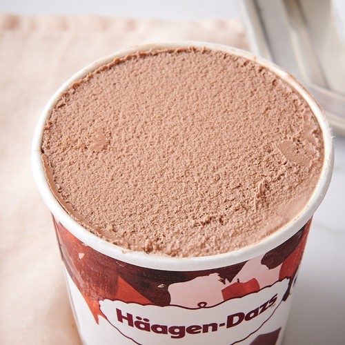 하겐다즈 파인트 (초코) (473ML)
