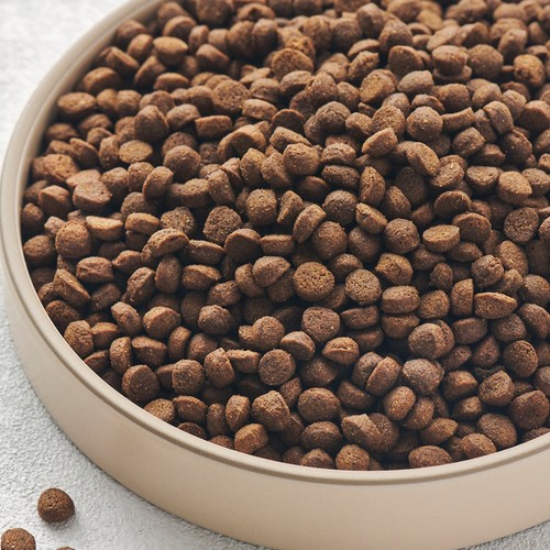  콜리올리 그레인프리 사료 (연어,피부건강) (1.5KG)