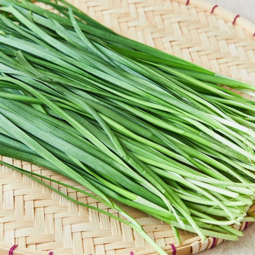 부추 (400G/단)