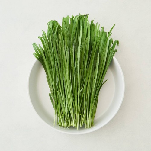 친환경 부추 (150G/봉)