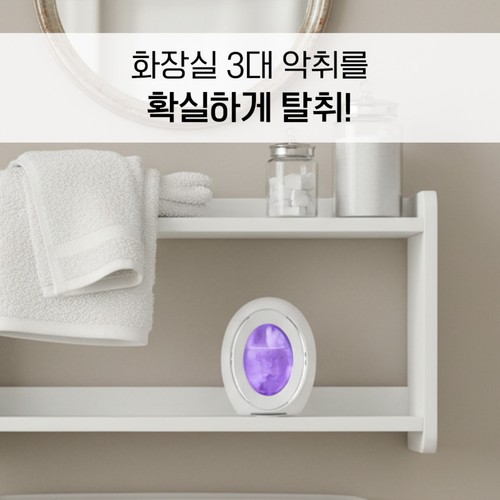 페브리즈 화장실용 방향제 (라벤더) 2입 (2입)