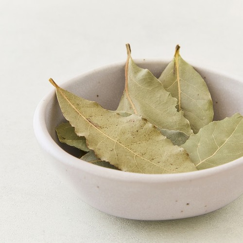 오늘좋은 월계수잎 (22G)