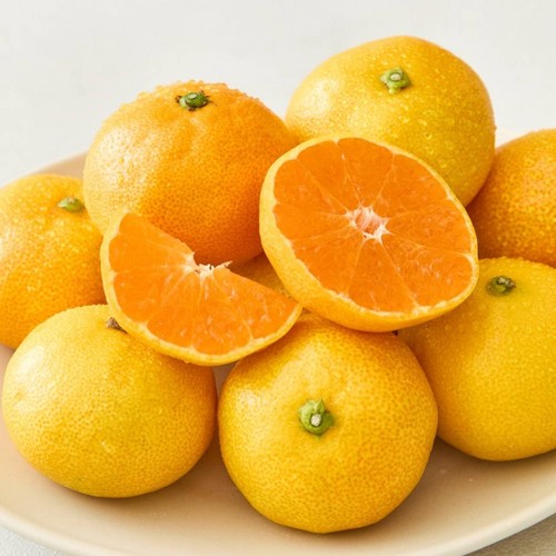 제주 고당도 유라 감귤 (1KG/팩)