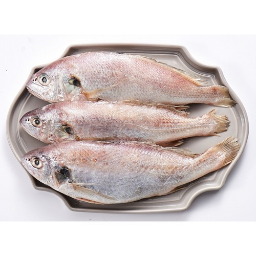 국산 백조기 (해동) (마리)