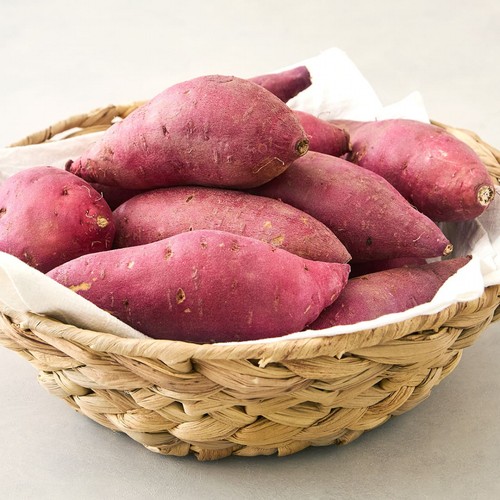 【끝장채소】 밤고구마 (2KG)