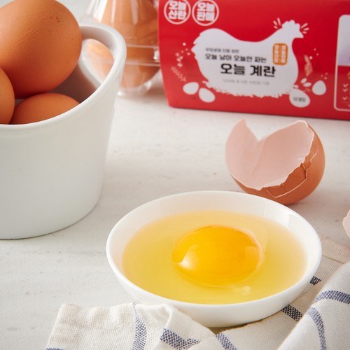 오늘 낳아 오늘만 파는 오늘계란(대란, 10입) (520G)