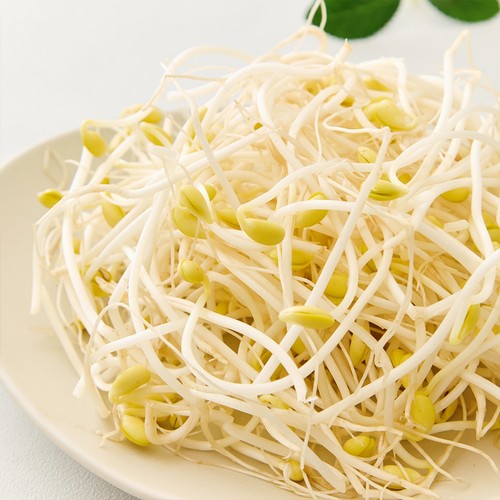 오늘좋은 콩나물 (300G)
