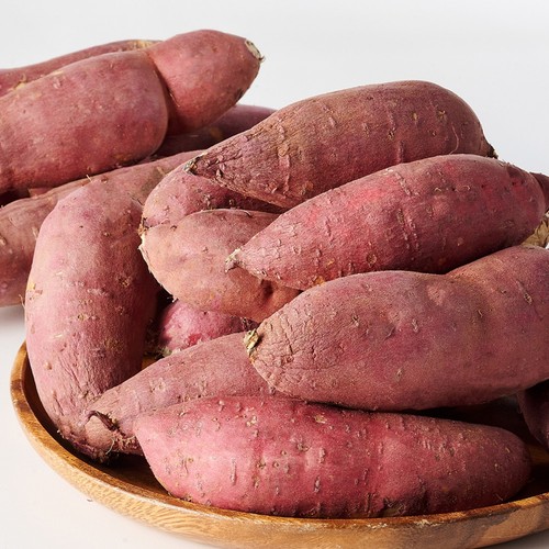 밤고구마 (1.5KG)