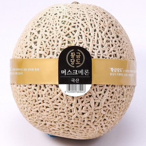고당도 머스크 메론 (1통)