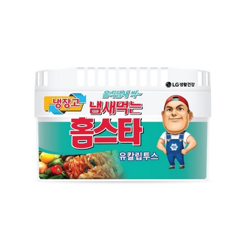  냄새먹는 홈스타 냉장고용 유칼립투스 (420G)