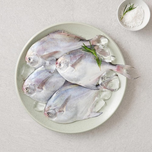 국산 병어 (마리)