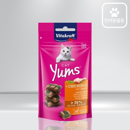  비타캣 캣얌 치킨 캣그라스 (40G)
