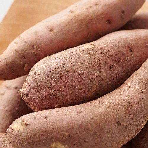 한입 호박 고구마 (700G)