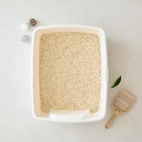 콜리올리 가는 두부모래 (오리지널) (3KG(7L))