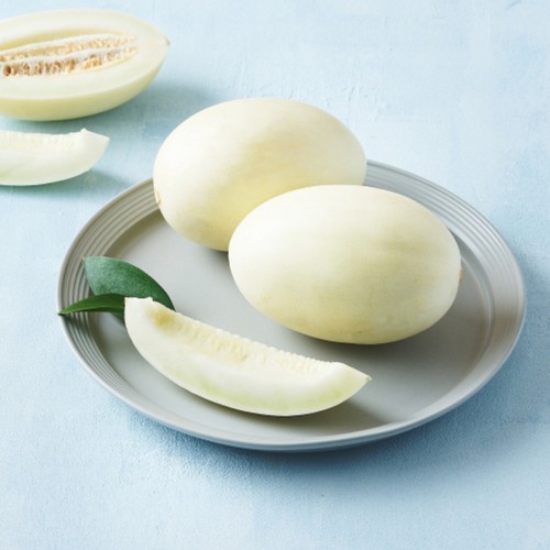 설향 메론 (1.5KG/박스)