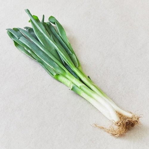 대파 (700G/봉)
