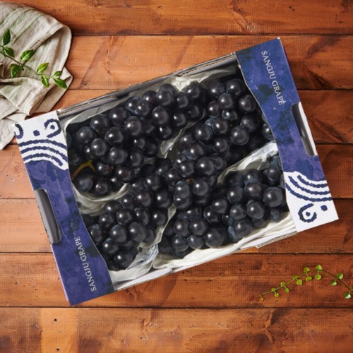 [농할할인가 9,520원] 상주 캠벨포도 (1.5Kg/박스)
