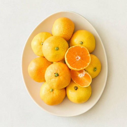 제주 고당도 유라 감귤 (1KG/팩)