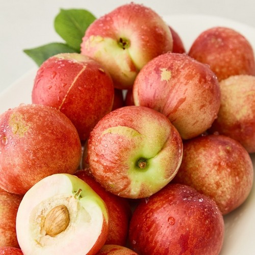 상생 신비복숭아 (1.5KG/팩)