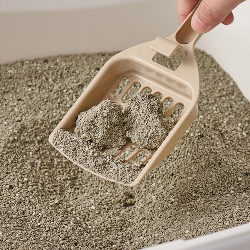 콜리올리 벤토나이트 모래 (무향) (7KG(9L))