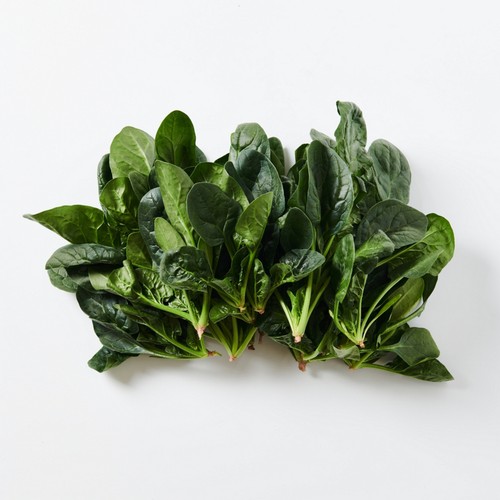 대관령 고랭지 시금치 (250G/봉)