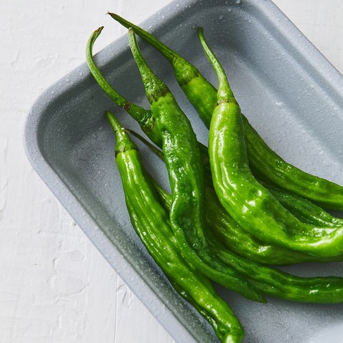 친환경 꽈리고추 (120G/팩)