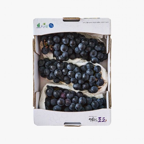[농할할인가 9,520원] 영월 포도 (1.5KG/박스)