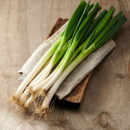 친환경 흙대파 (400G/봉)