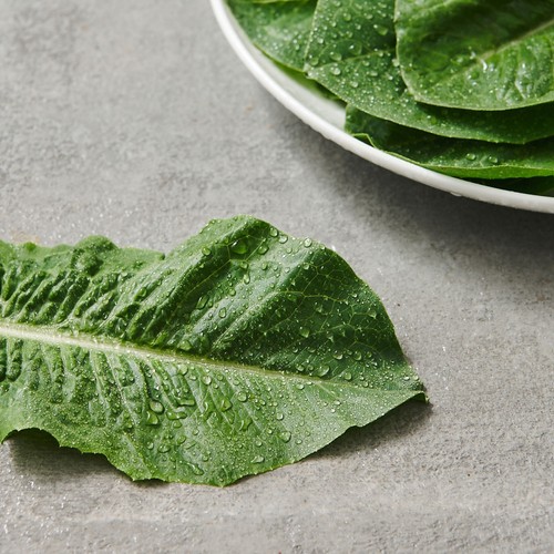 로메인 (80G/봉)