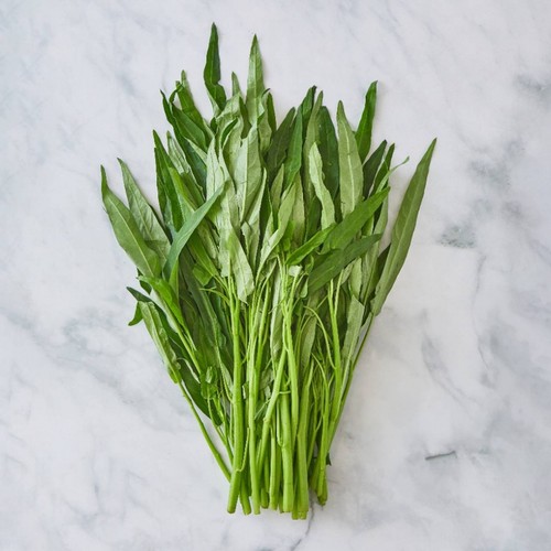 공심채 (150G/봉)