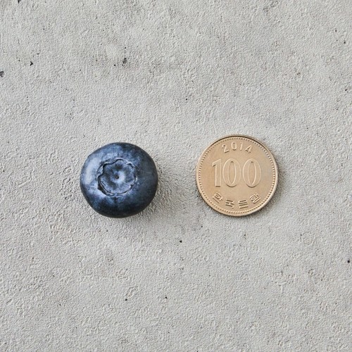 알큰 블루베리 (200G/팩)