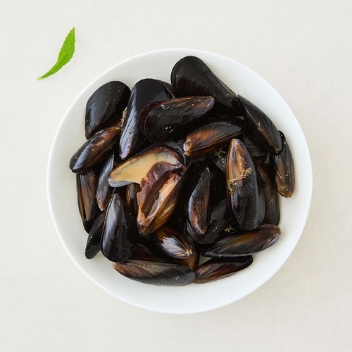 신선한 홍합 (1.7KG)