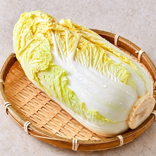 알배기 배추 (통)