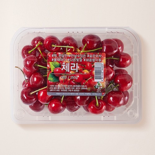 국산 체리 (250G)